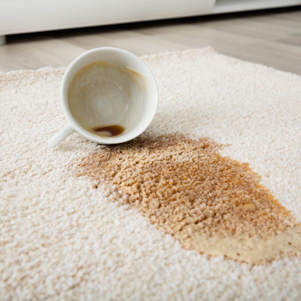 stain Cleaning| | Tom January Floors