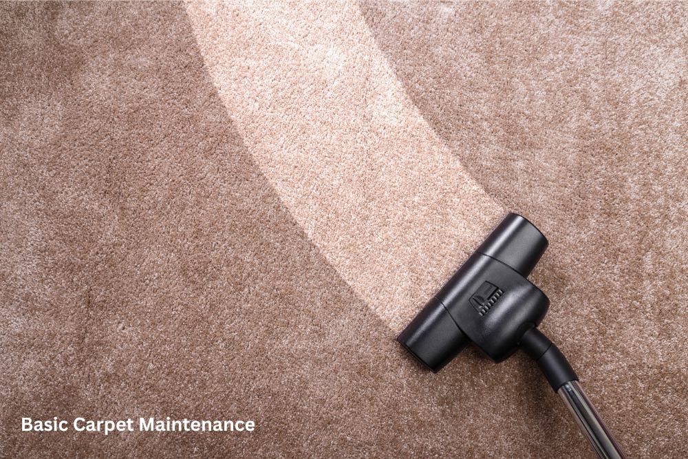 carpet cleaning | Tom January Floors